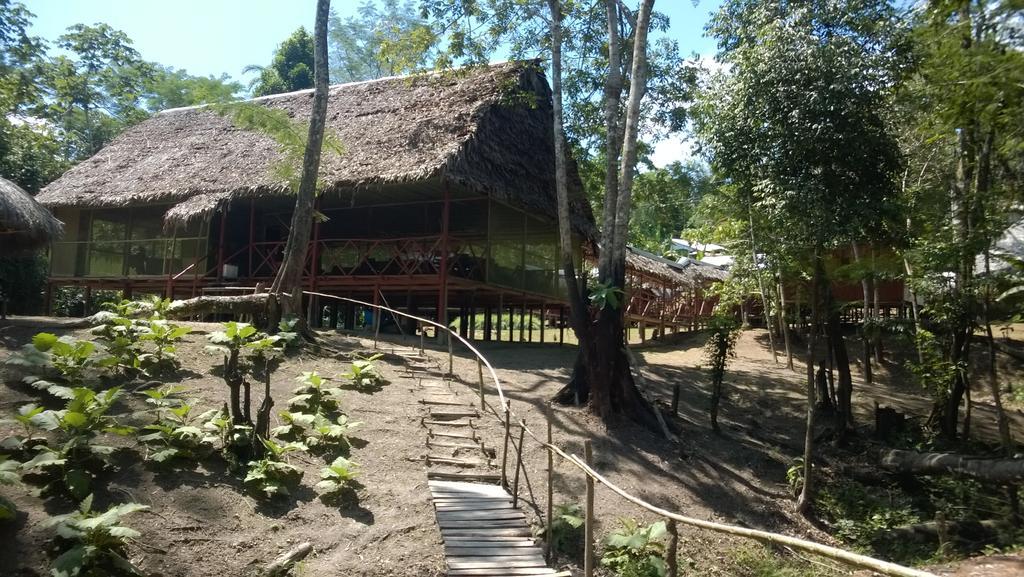 Amazon Queen Lodge Mazán Kamer foto