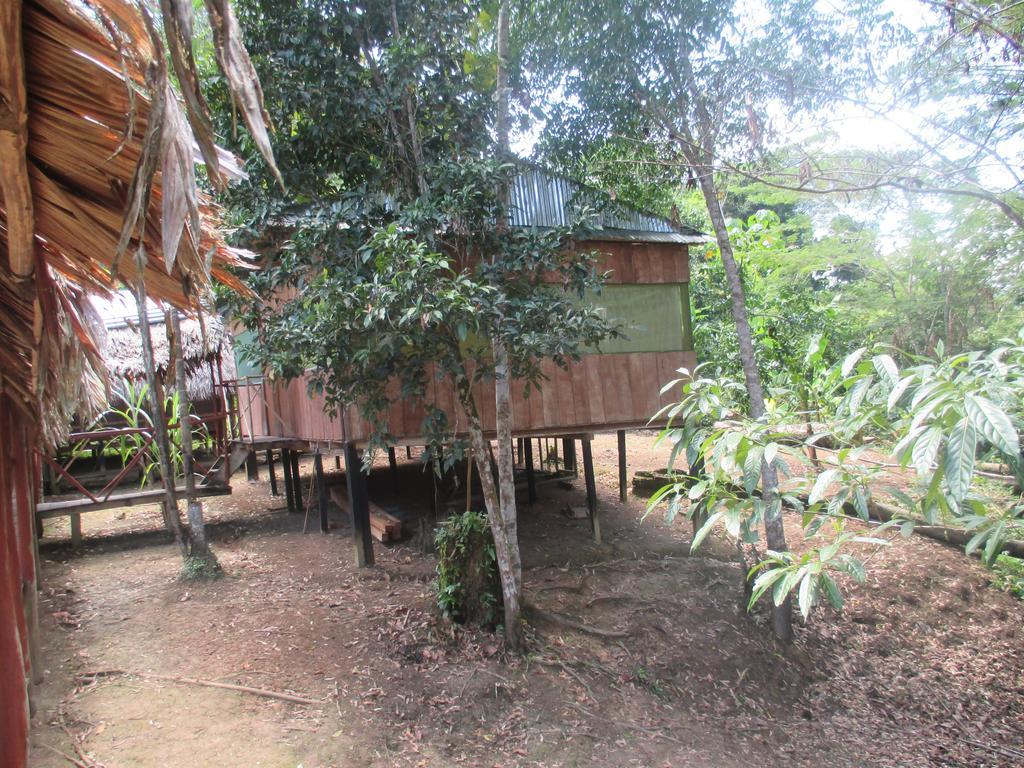 Amazon Queen Lodge Mazán Buitenkant foto