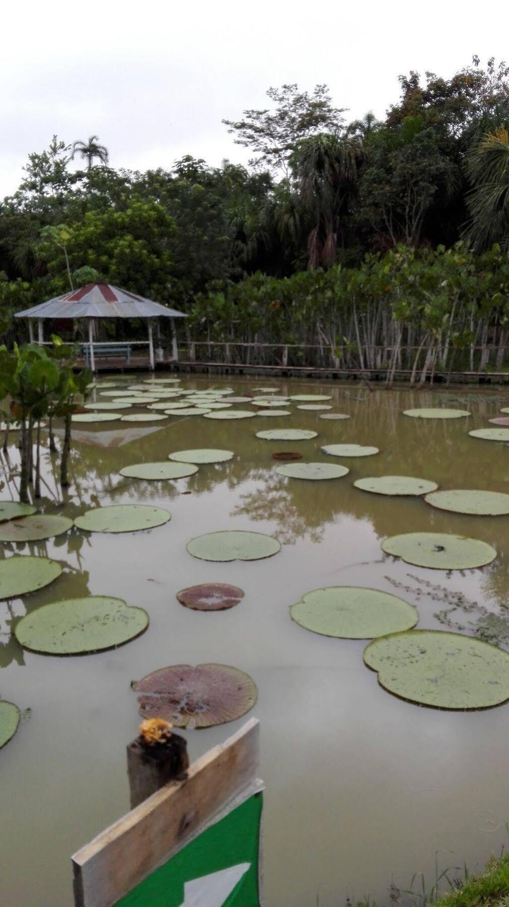 Amazon Queen Lodge Mazán Buitenkant foto